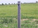 Recycled Mixed Plastic Cross Electric Fence Post With Point 70 X 70mm