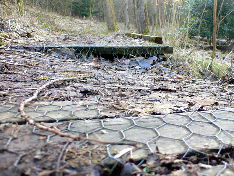 Rotten decking boards with chicken wire