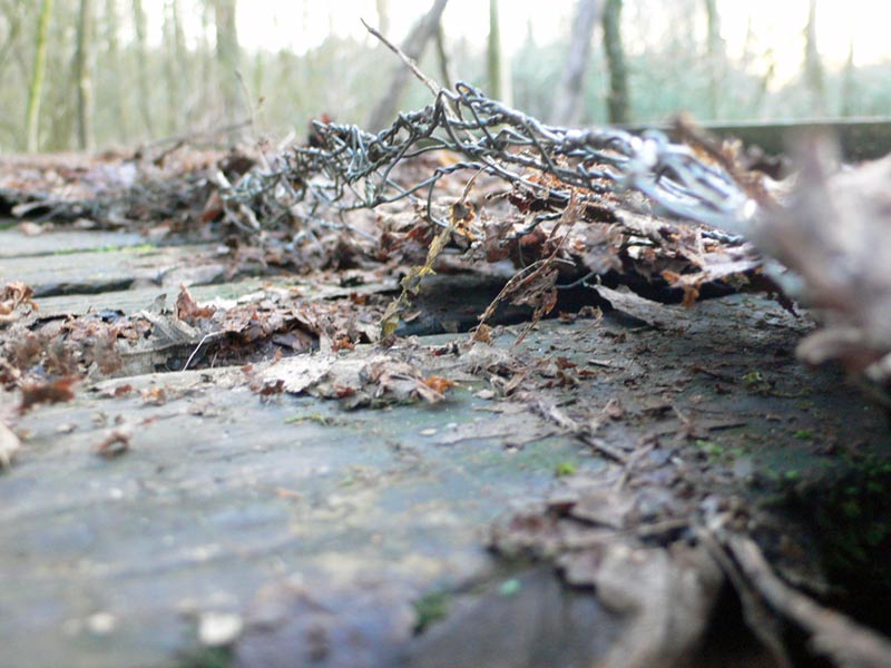 Decaying decking boards at Moses Gate Country Park