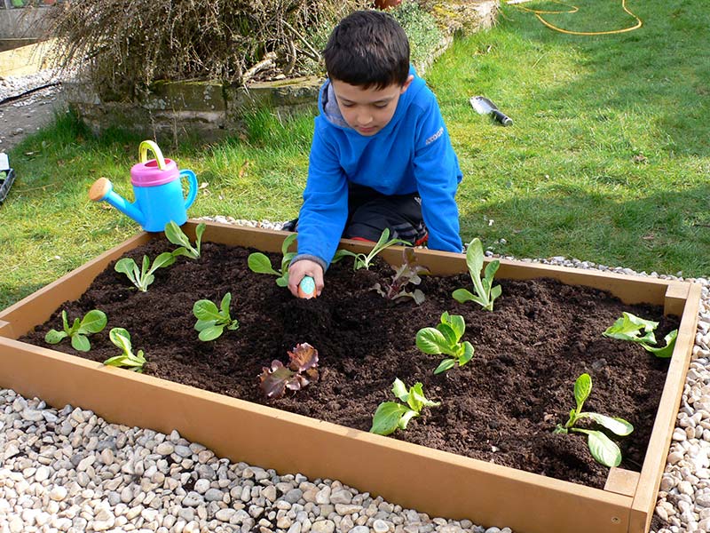 Image of Raised flower bed made from plastic